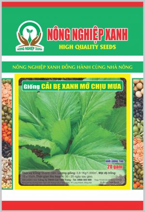 CAI BE XANH MO CHIU MUA-min