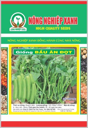 hạt giống bầu ăn ngọn